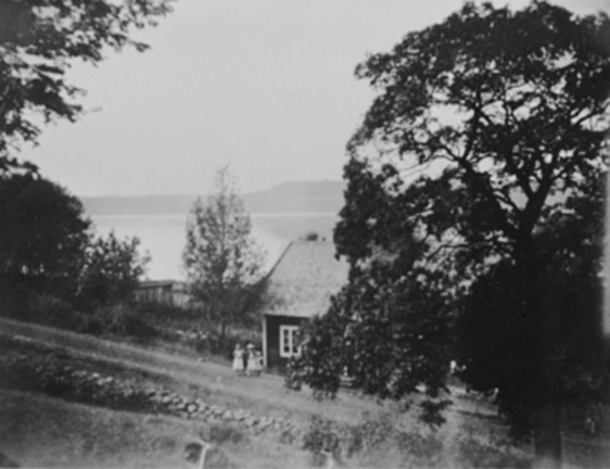 Anno Domkirkeodden, PLASS, ROSENLUNDSVIKA, 3 BARN, MJØSA, HVAMSBERGET