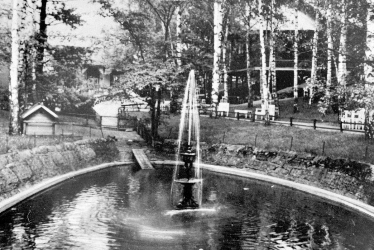 Anno Domkirkeodden, ANDEDAMMEN, ENDER, HAMAR PARK