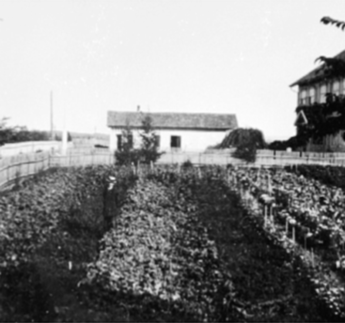 Anno Domkirkeodden, FREDVANG SKOLE, SKOLEHAGEN, VANGSVEGEN 143