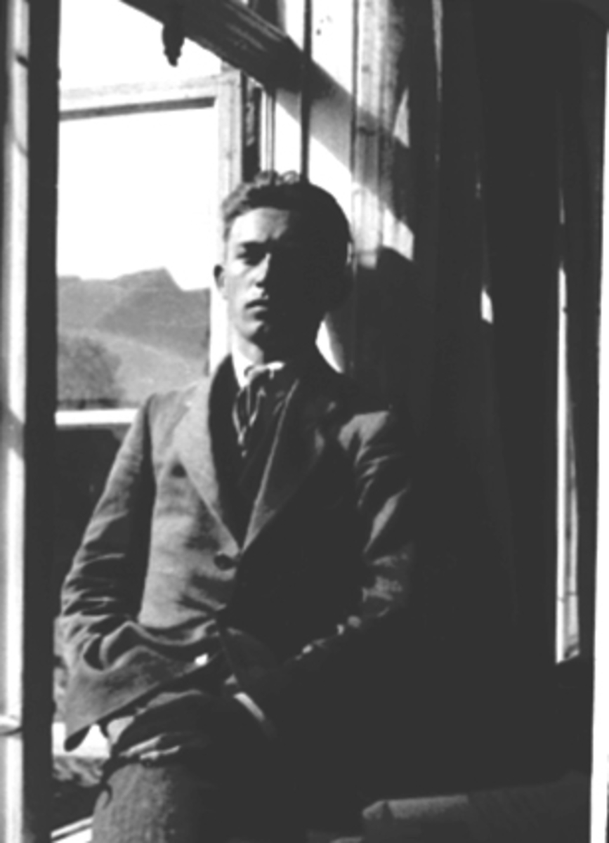Anno Domkirkeodden, PORTRETT, KUNSTMALER KNUT KNUTSEN, VINDU, SKAPPELSGÅRDEN