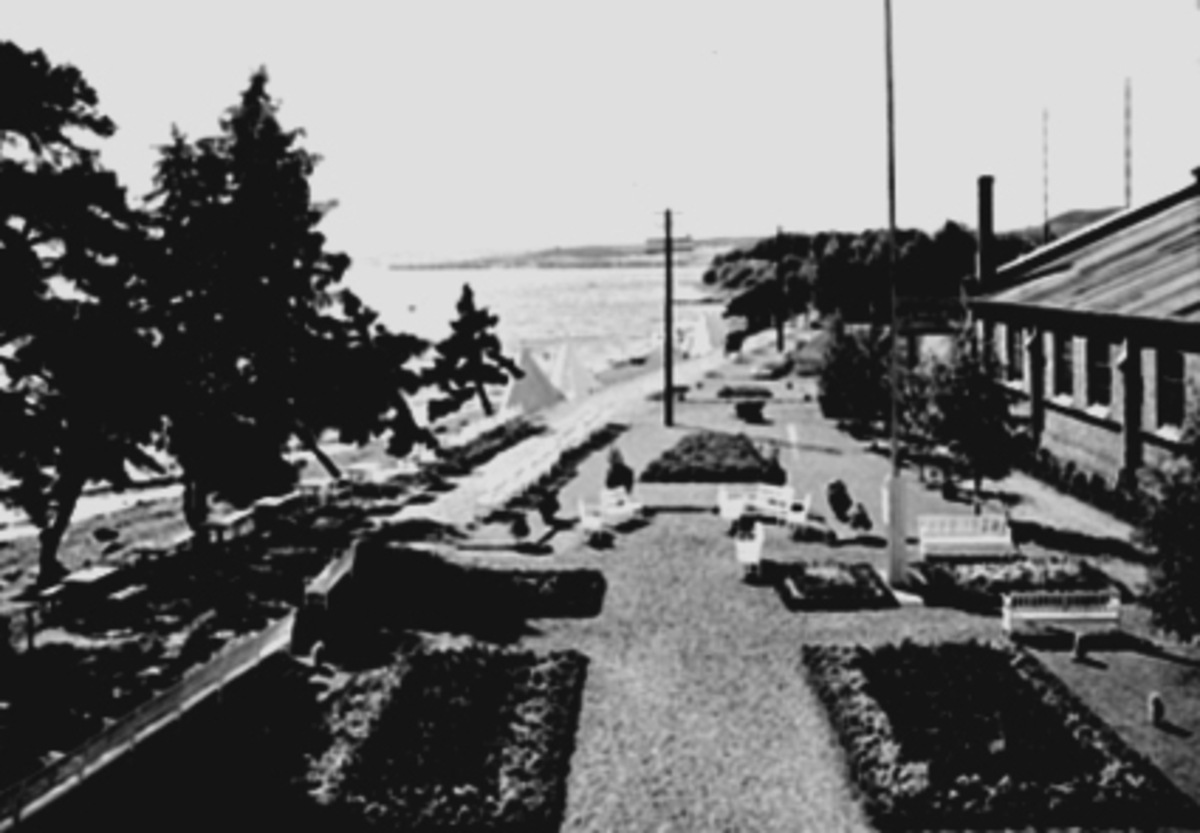 Anno Domkirkeodden, BEPLANTNINGEN, VAREMESSEN, RIDEHUSETO. Fuglseths Handelsgartneri sto for beplantningen.