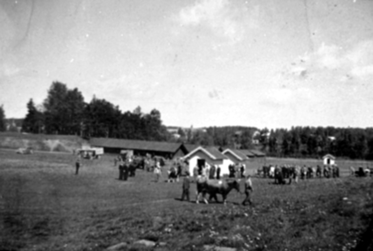 Anno Domkirkeodden, OVERSIKT, FESJÅ, UTSTILLINGSPLASSEN