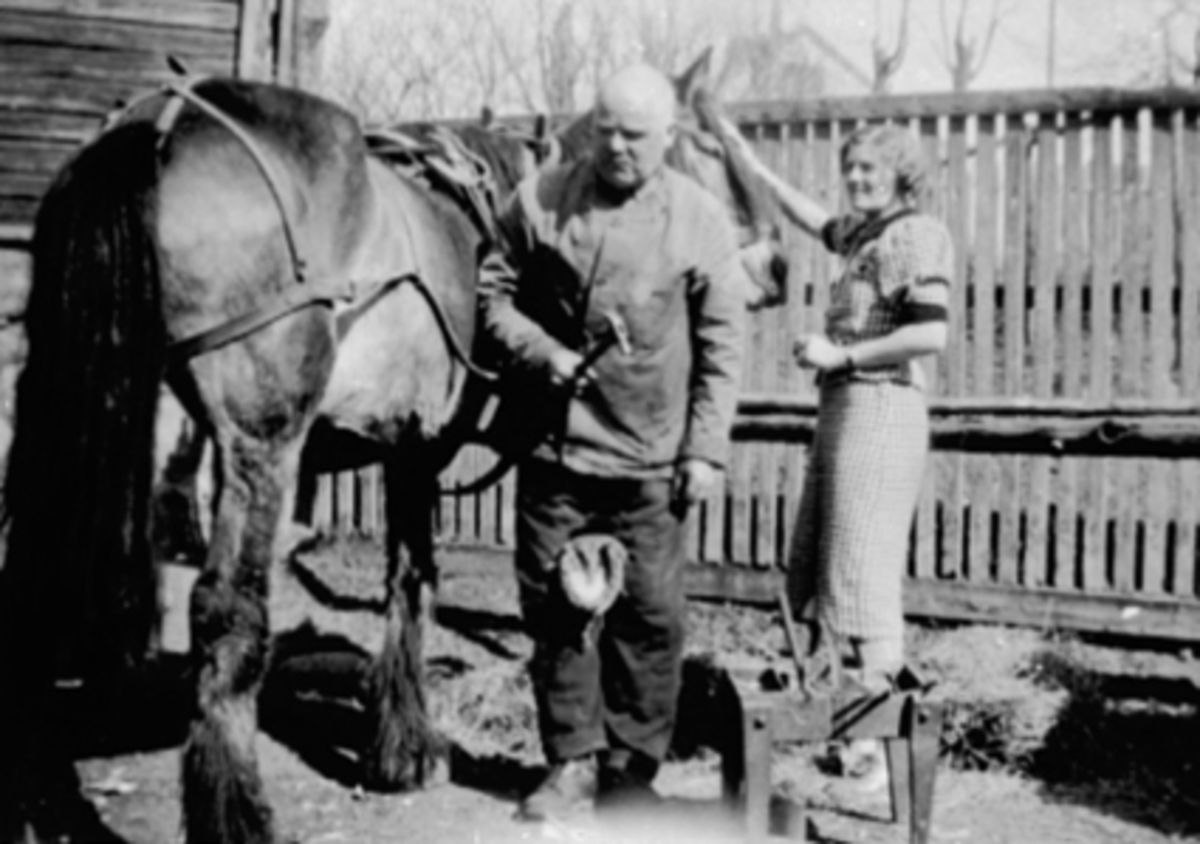Anno Domkirkeodden, Smed Nicolai Korslund skor hest, th. datteren Bergljot Korslund. Korslundgården.