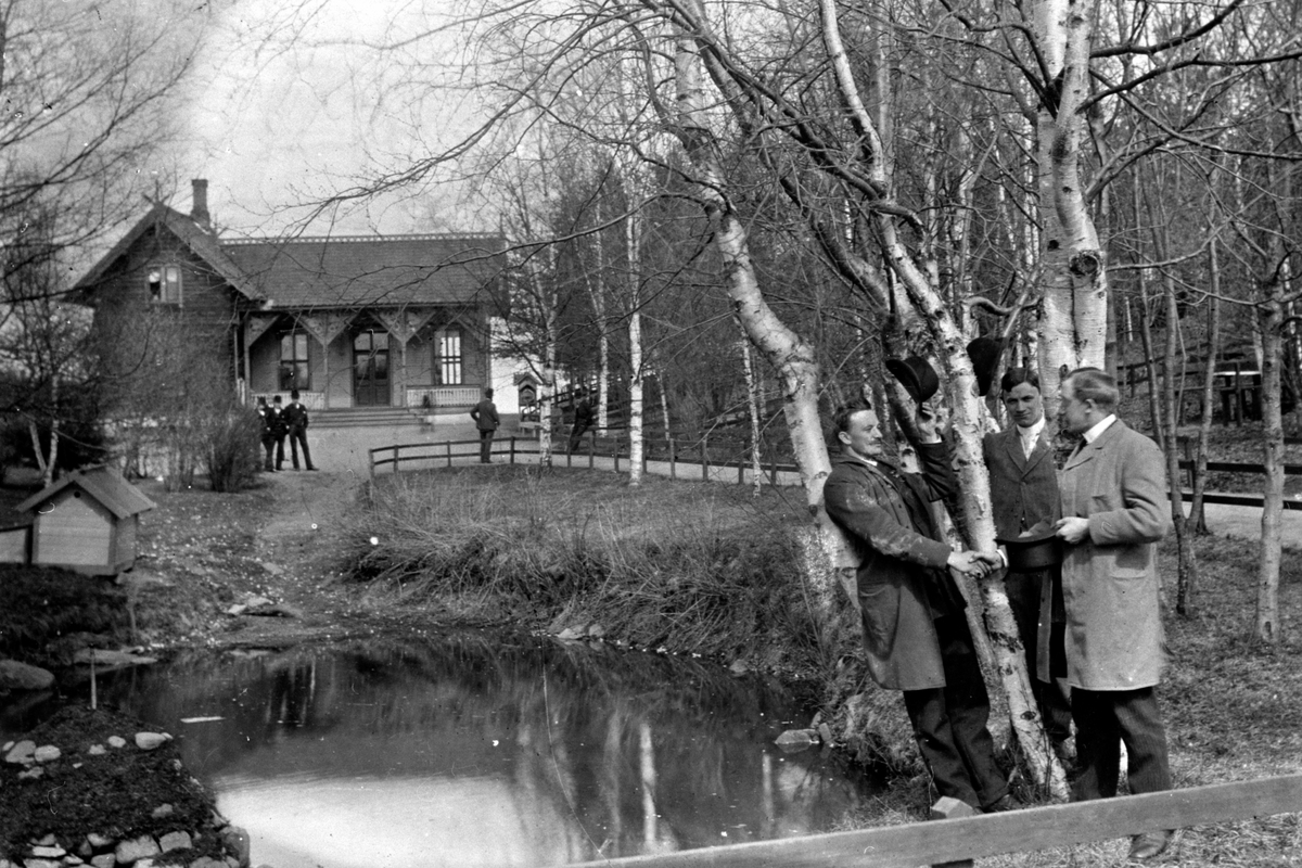 Anno Domkirkeodden, GRUPPE 3 MENN, ANDEDAMMEN, HAMAR PARK, FOLK I BAKGR.