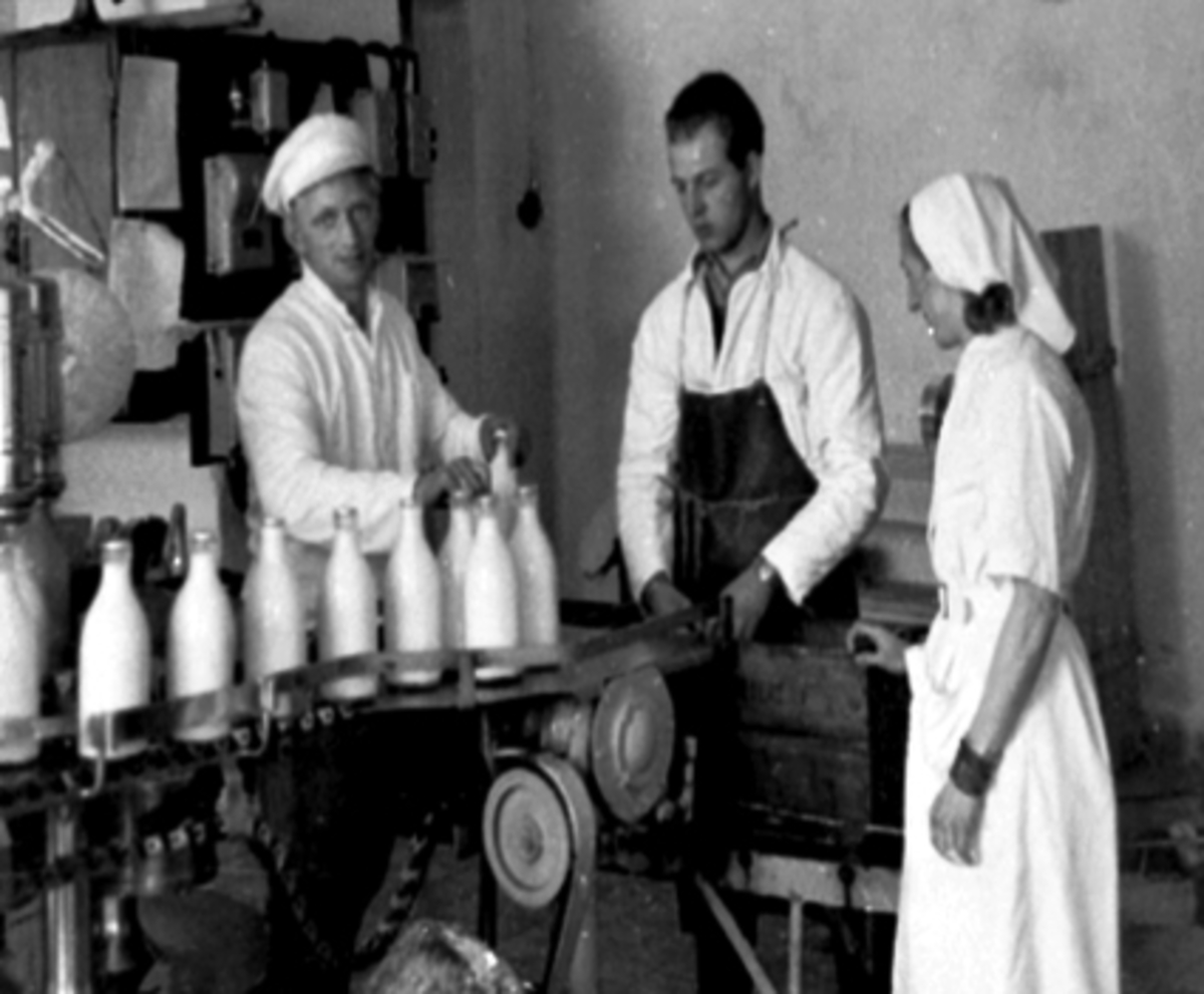 Anno Domkirkeodden, INTR: HEDMARK MEIERI, TRANSPORTBÅND M/MELKEFLASKER, 3 ARBEIDERE
