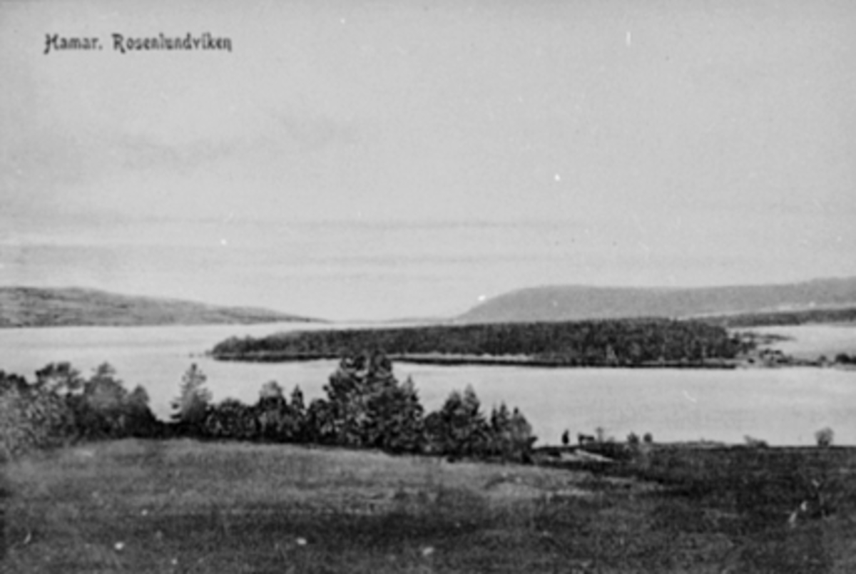Anno Domkirkeodden, ROSENLUNDVIKA, MARTODDEN, STRANDVEGEN 100, STORHAMAR GÅRD, KULTURLANDSKAP