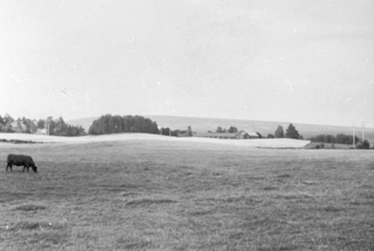 Anno Domkirkeodden, OVERSIKT FRA SOLVANG MOT TOMMELSTAD GÅRD, KULTURLANDSKAP
