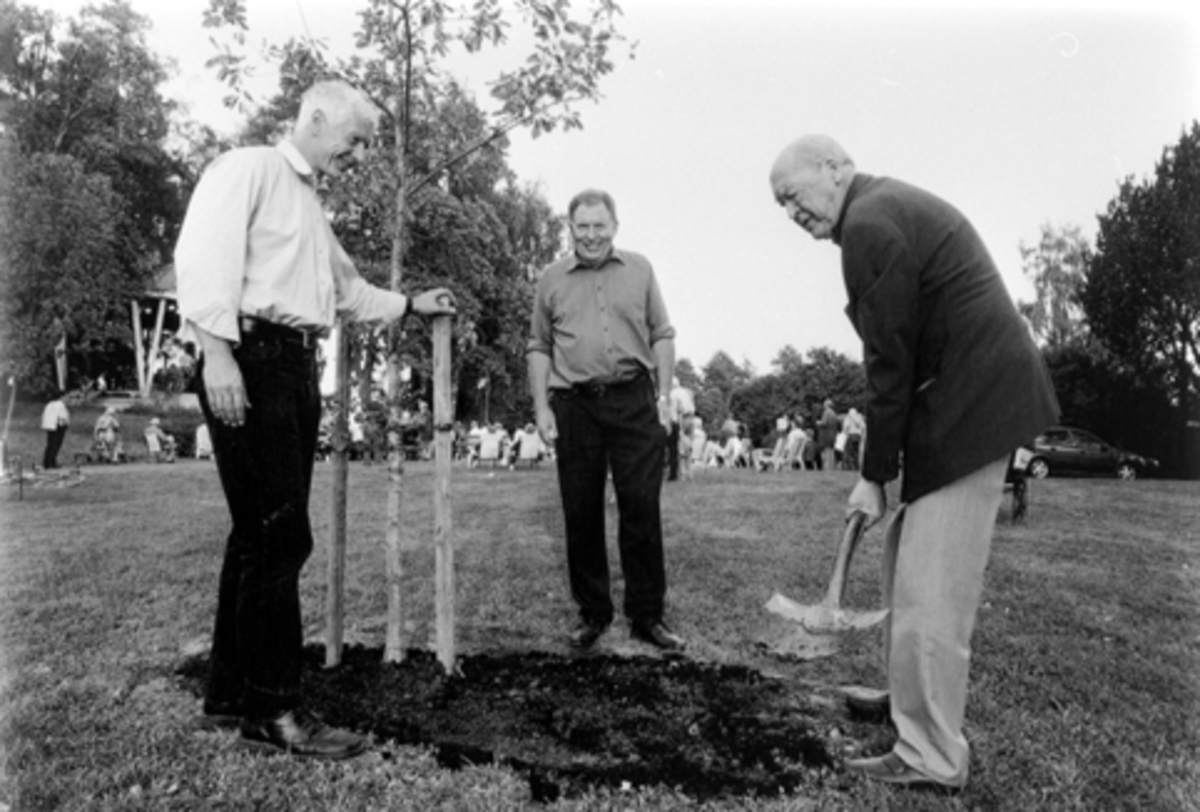 Anno Domkirkeodden, HAMAR PARK. ORDFØRER EINAR BUSTERUD, PER IDAR MORKEN OG FORHENDVÆRENDE STATSMINISTER/ FYLKESMANN ODVAR NORDLI PLANTER ETT TRE I FORBINDELSE MED NORDISK RÅDS 50-ÅRS JUBILUEM.