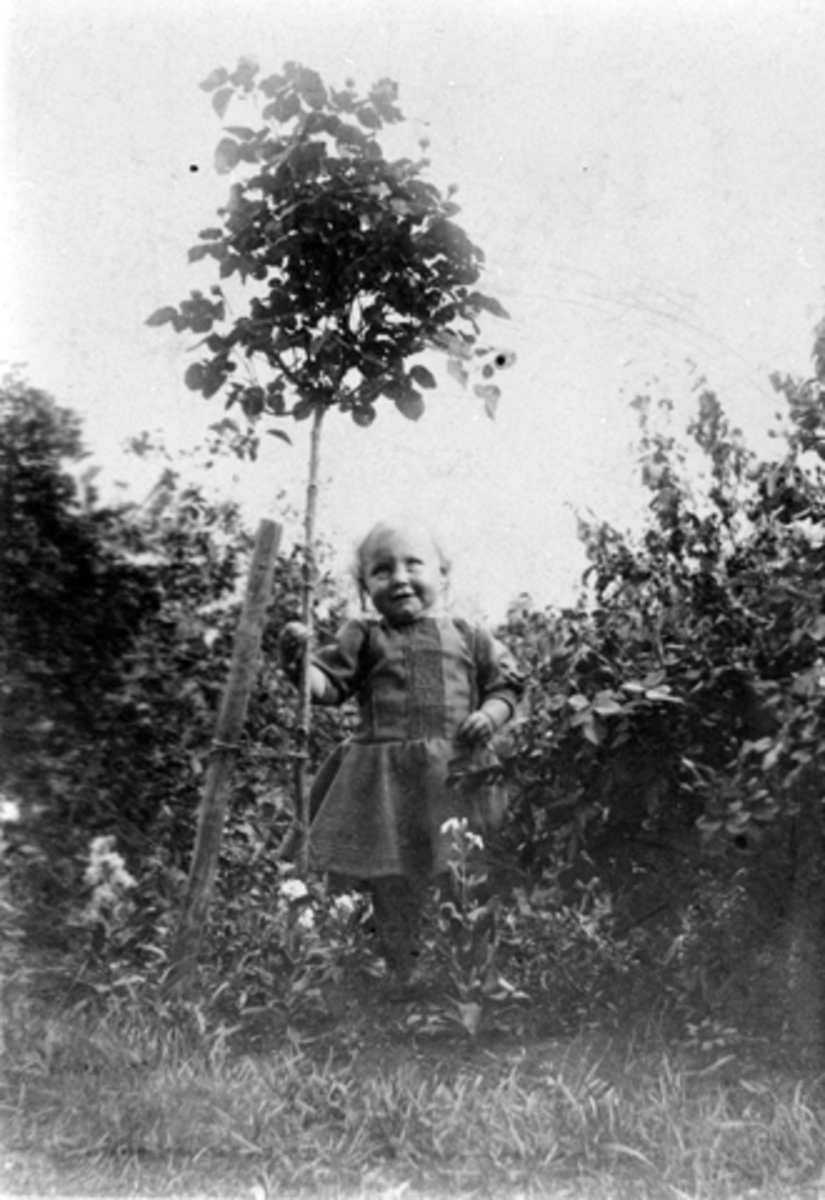 Anno Domkirkeodden, INGEBORG DIESEN GIFT. SORKNES