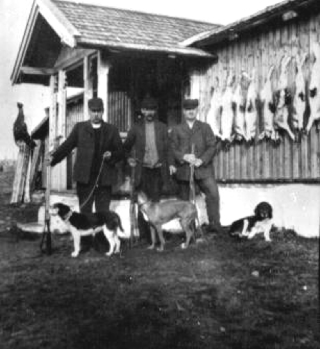 Anno Domkirkeodden, Tre jegere med hunder på Nysetrai Ringsaker Almenning. Harer og storfugl opphengt på hytteveggen. Fra venstre er Thore Lier, Sigvart Jovall, banksjef Ola Andersen.
