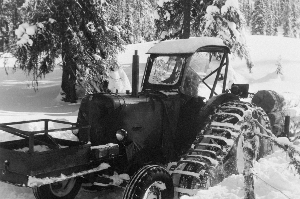 Anno Domkirkeodden, Traktor med halvbelter og tømmerlass på slede. Skogsarbeid i Ringsaker Almenning.