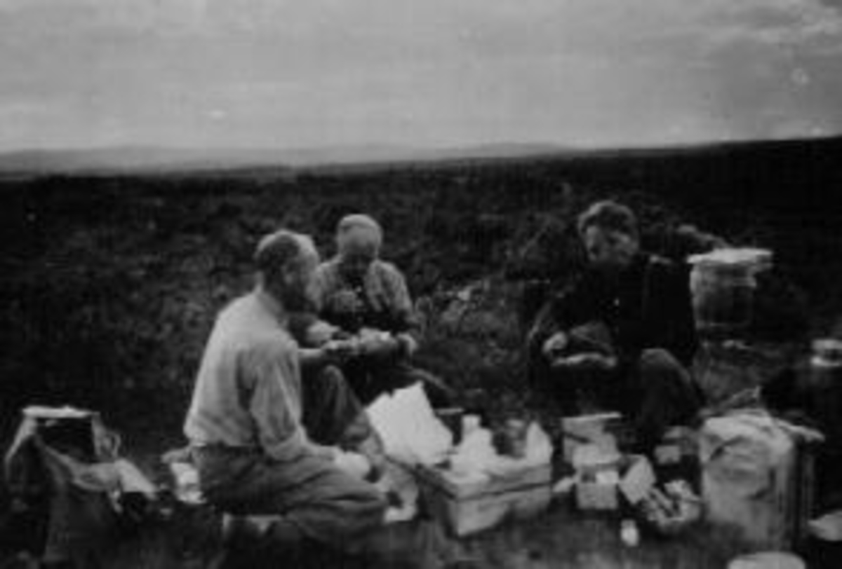 Anno Domkirkeodden, Multeplukking, multesanking. Fra venstre er Nordvang, Sellreøyte,Torgeir Kongsrud (1903-1969). Spiser nistemat. Smørslåa, Almenning.
