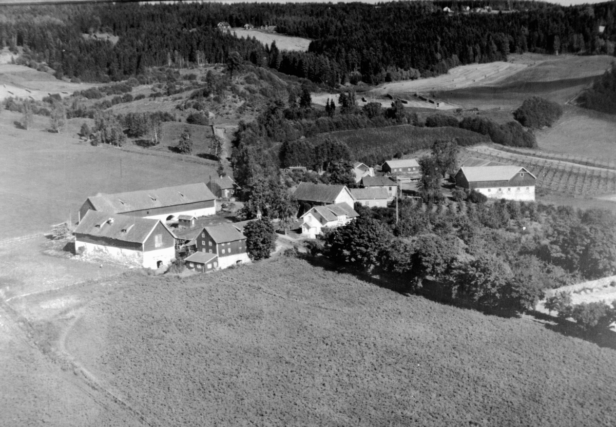 Anno Domkirkeodden, Flyfoto av Mellom-Kise og Østre-Kise. Østre til høyre.