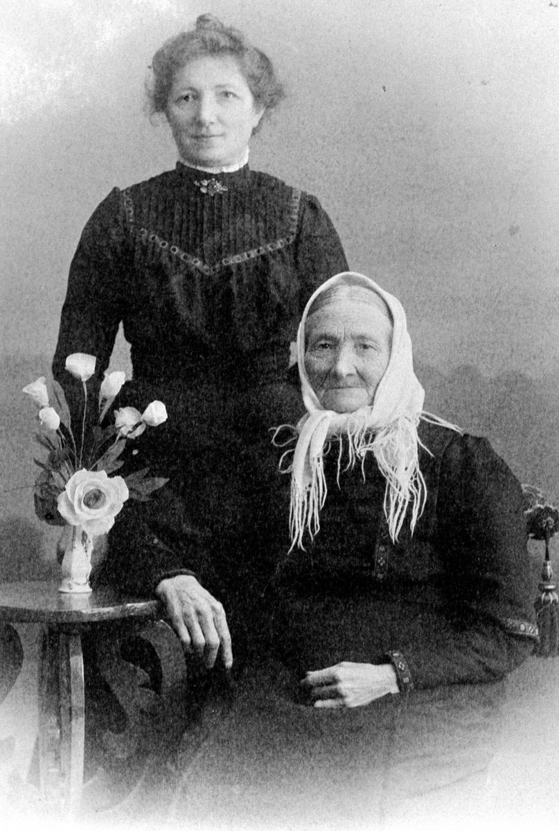 Anno Domkirkeodden, Marie Olsdatter Bekken f.1846 med datter Polla f.1874. Bodde i Bekken under Grefsheim, Nes, Hedmark.