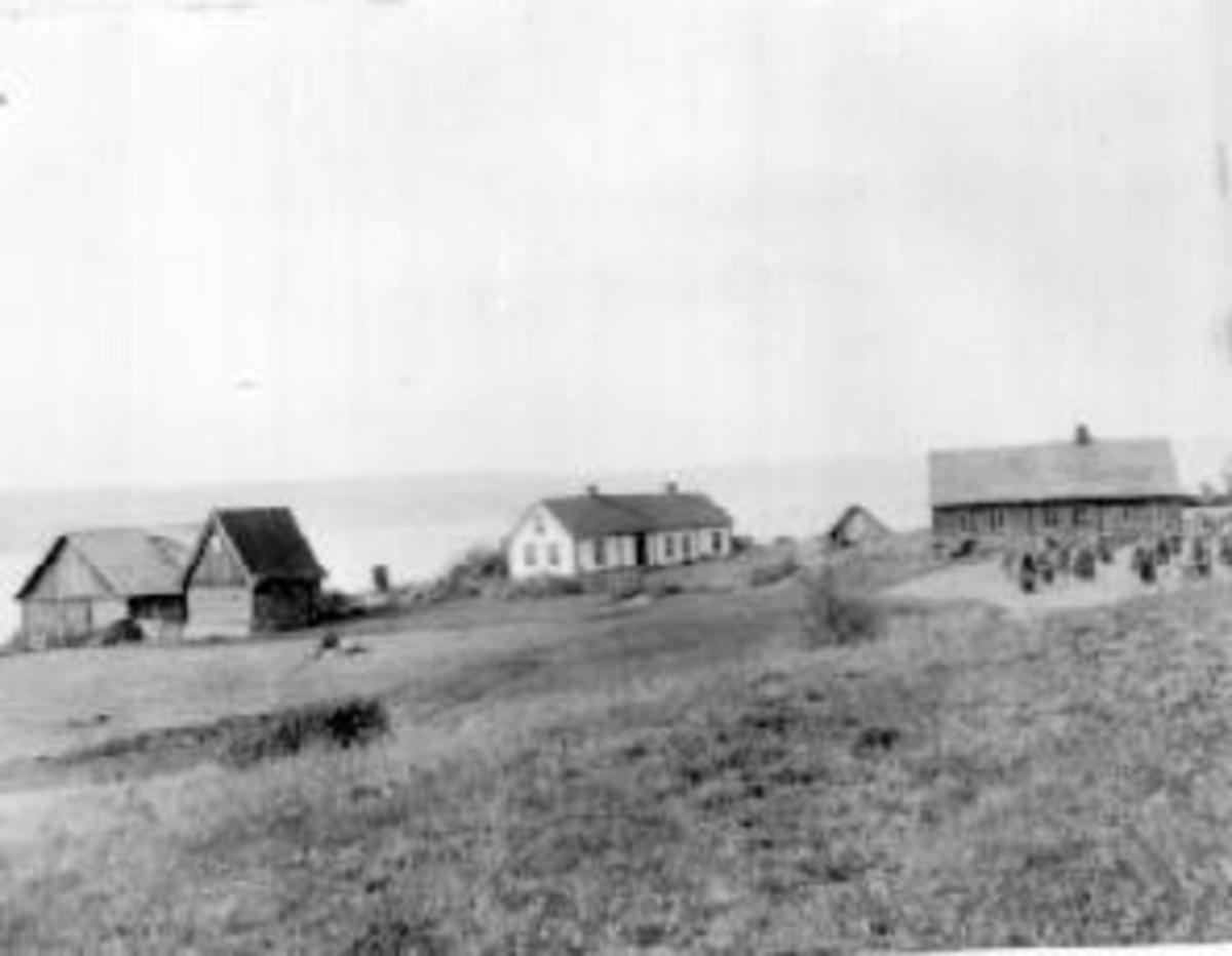 Anno Domkirkeodden, Nedre og Øvre Maurud, Helgøya.