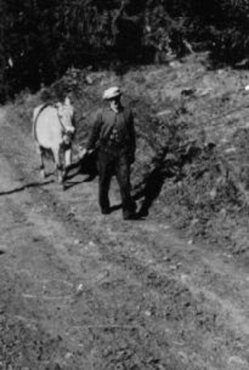 Anno Domkirkeodden, Johannes Presterud med "Blakken" etter gardsvegen til Prestrud, Helgøya.