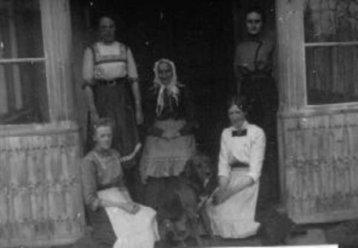 Anno Domkirkeodden, Fem damer og hund i trappa på Bjørge, Furnes. I midten er Kari Kluge Jacobsdatter (født Frogner), nederst til venstre er Helene Olsdatter, Anne Olsdatter.