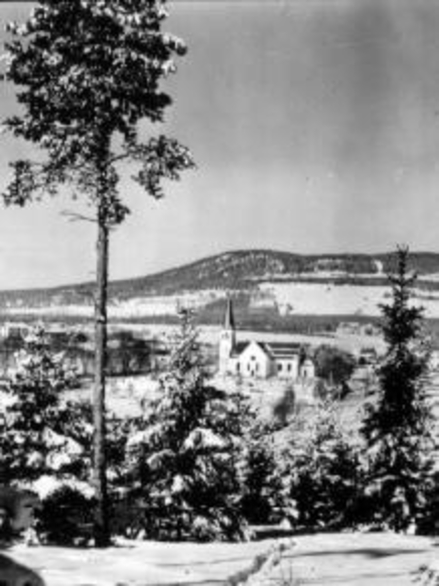 Anno Domkirkeodden, Utsikt mot Furnes kirke og Høsbjør. Vinter. Furutre i forgrunnen.