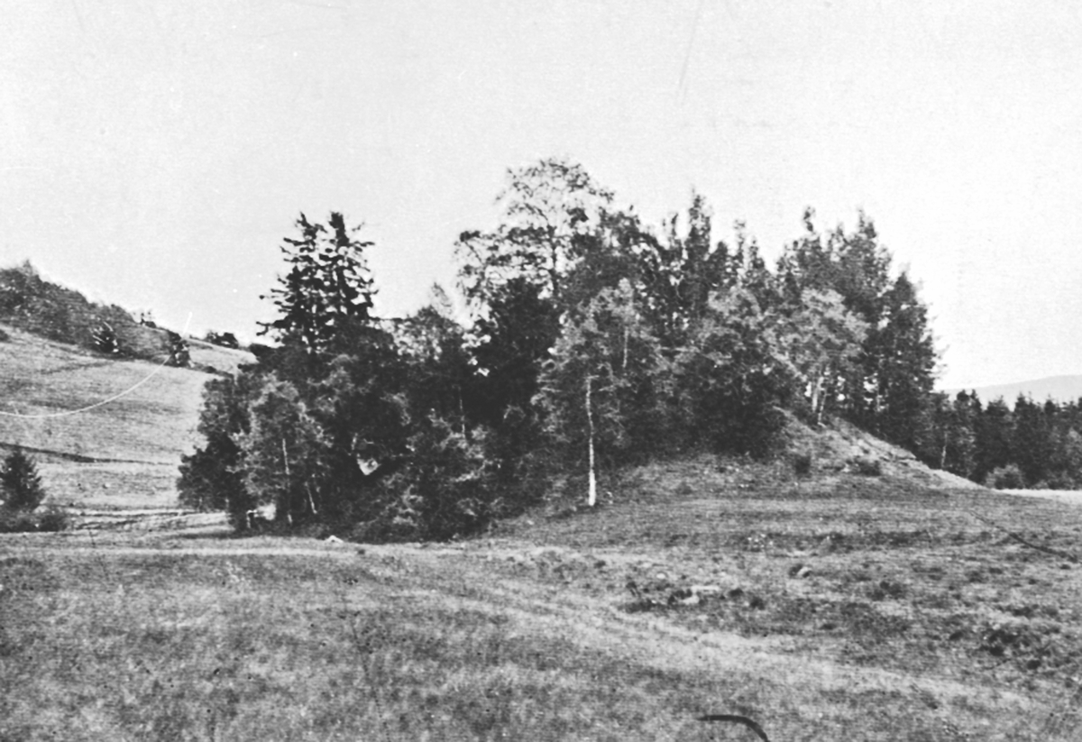 Anno Domkirkeodden, Gravhaugen på Fulsen, Fuglseng legatgård, Ringsaker. Fornminne.