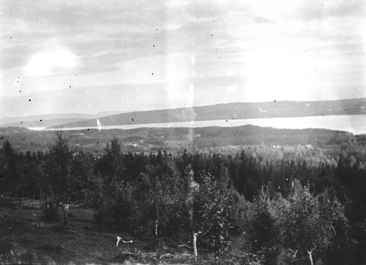 Anno Domkirkeodden, Utsikt over Furnes, Ringsaker fra toppen av Frambakken, Brumunddal.