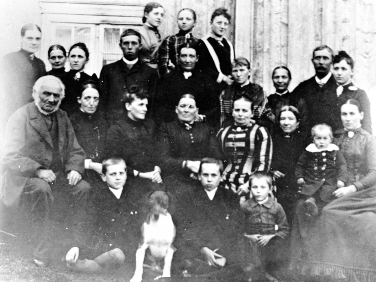 Anno Domkirkeodden, Familiene Piro, Grûner, Lier, Bjerke og Erichsen på Gåskvern Gård, Furnes.