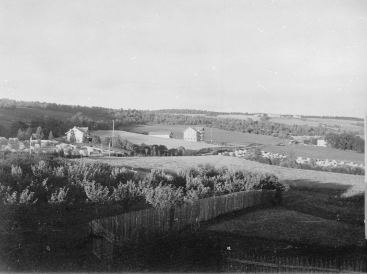 Anno Domkirkeodden, Oversikt Løkjedalen, Veldre, Ringsaker. Furu skole, saga til Løken østre, Tokstad gård sett fra Løken østre.