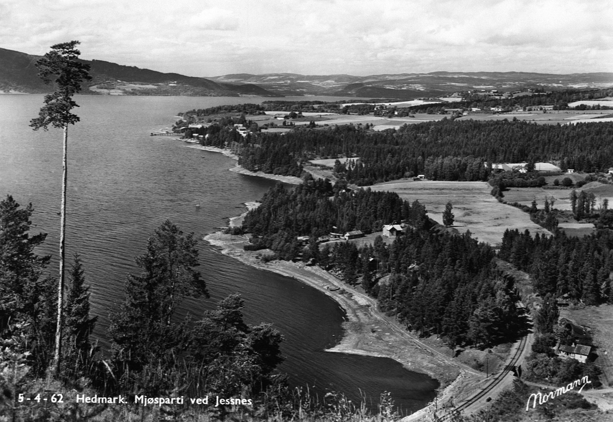 Anno Domkirkeodden, Utsikt fra Furuberget over Furnesfjorden, Jessnes og Bangsberg.