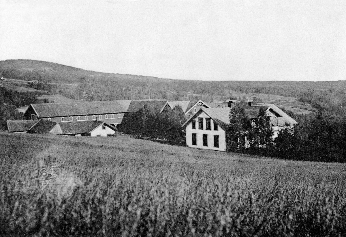 Anno Domkirkeodden, Pinnerud gård, Furnes, Ringsaker.
