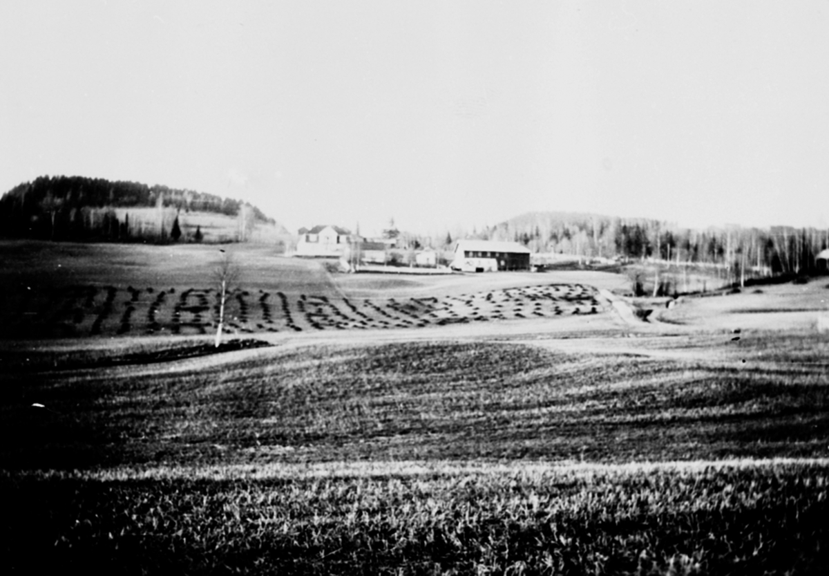 Anno Domkirkeodden, Lisenga gård, Lismarka, Ringsaker. Husdyrgjødsel på jordet.