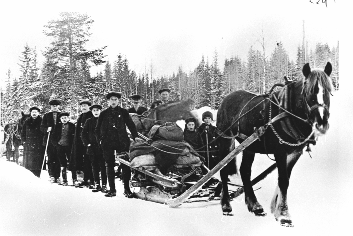 Anno Domkirkeodden, Tømmerkjørere. Hester med bukk og geit full med oppakning. Hjem fra tømmerkjøring til Lillehammer Dampsag. Bakerst fra venstre er Ole Engen, Mathias Fauskerud, Aksel Sveen, Ole Sveen.
