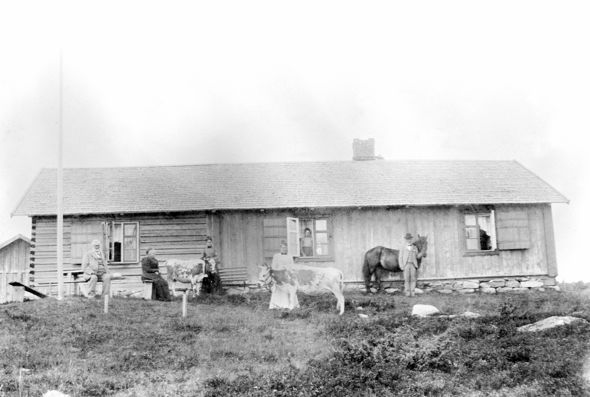 Anno Domkirkeodden, Størhus på Hynna seter, Sjusjøen. Telemarksku og hest. Fra venstre er Christian Berg (1846-1902), Karen Berg (1842-1902), Agnes Berg (1882-1922), Ragnhild Alseth f.1872, Marthinius Berg (1879-1954). Berghøy, Sjusjøen.