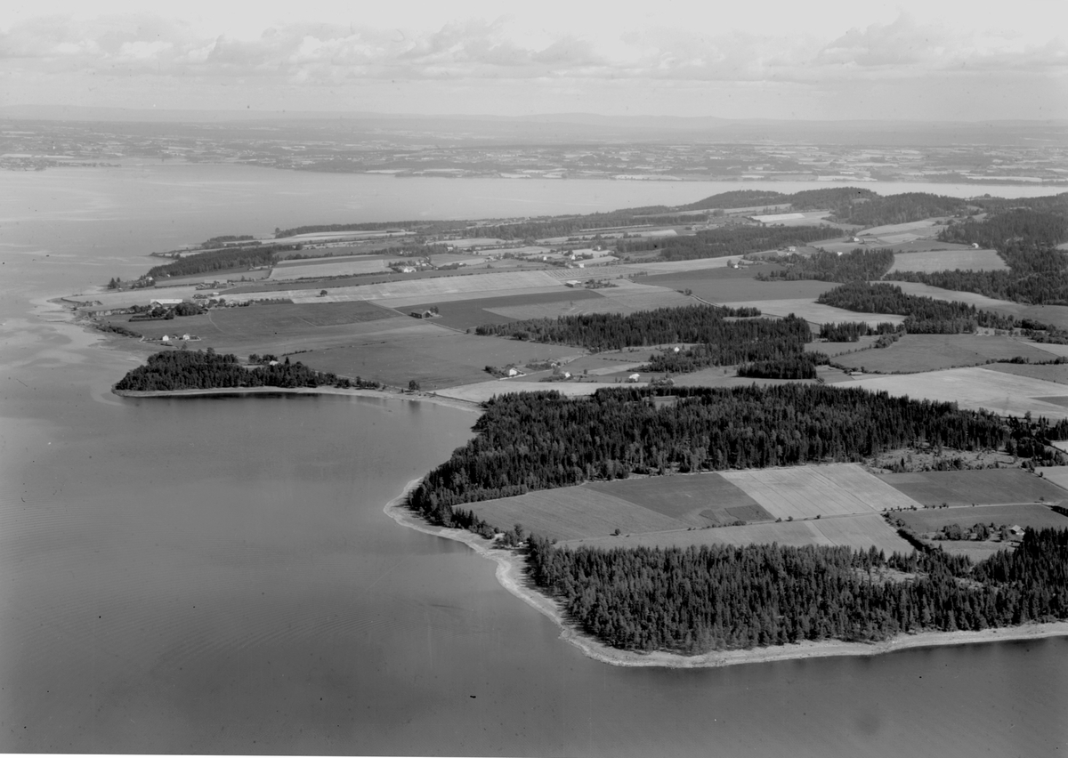 Widerøes Flyveselskap A/S, Flyfoto, Helgøya, jordbrukslandskap, Mjøsa, Hornsodden i forgrunn, Skurven stikker ut til venstre.