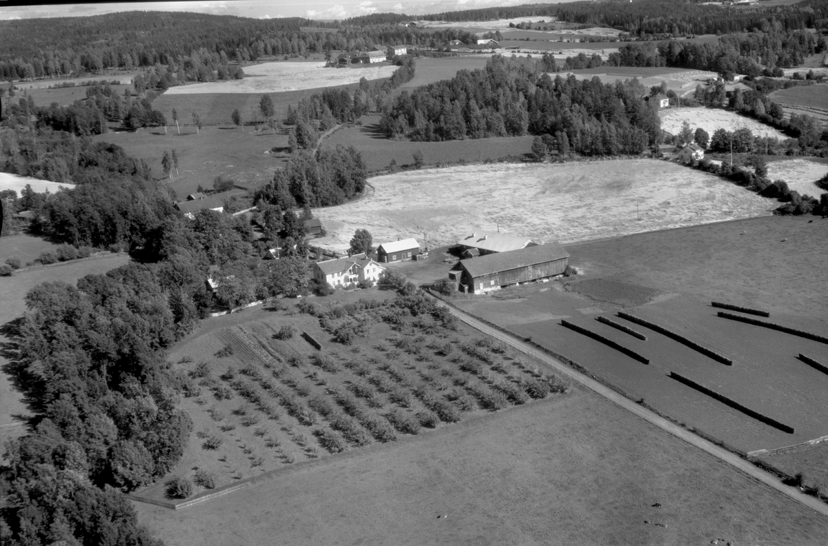 Anno Domkirkeodden, Flyfoto av ukjent gard, Ringsaker.
