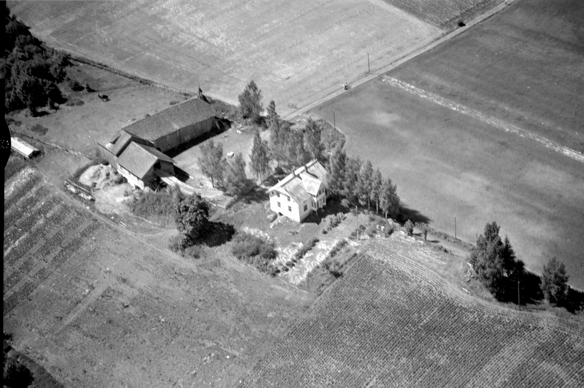 Anno Domkirkeodden, Flyfoto av Vik nedre, Veldre, Ringsaker.