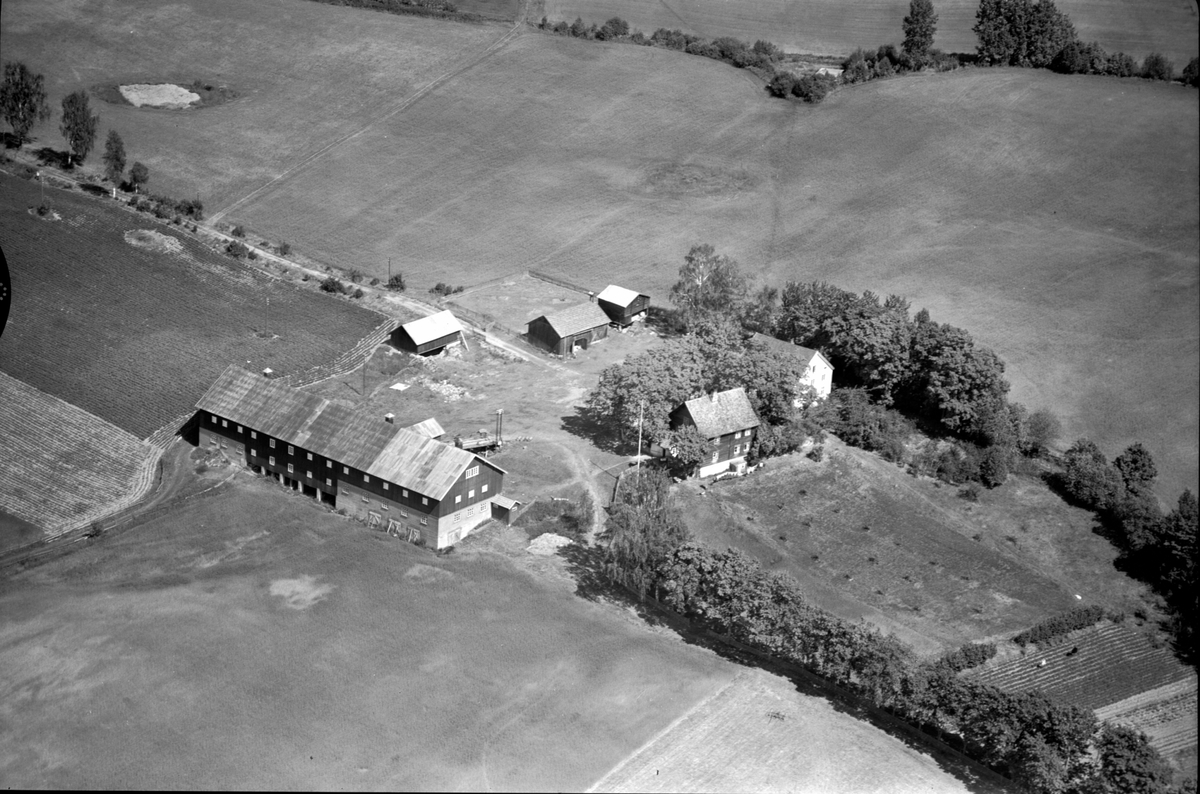 Anno Domkirkeodden, Flyfoto av ukjent gard, Ringsaker.
