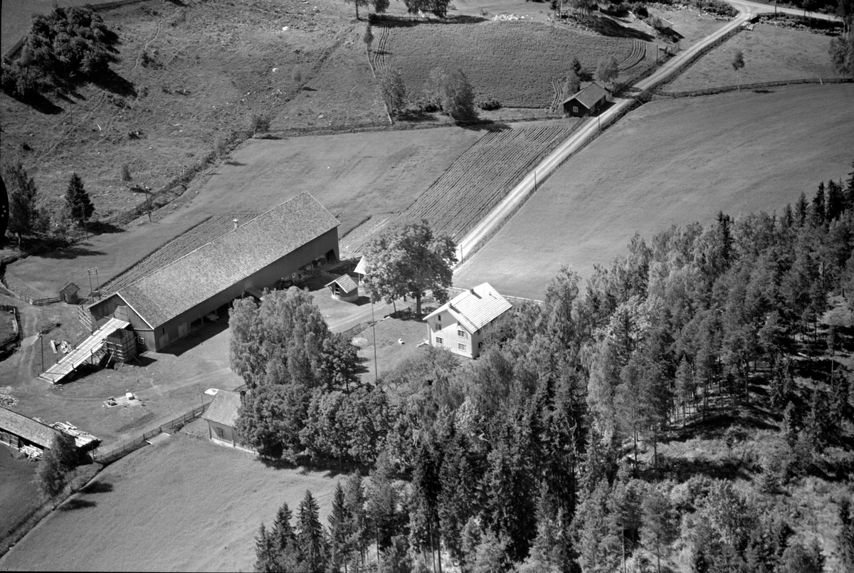 Anno Domkirkeodden, Flyfoto av Stenseng gard, Stensengdalen, Ringsaker.