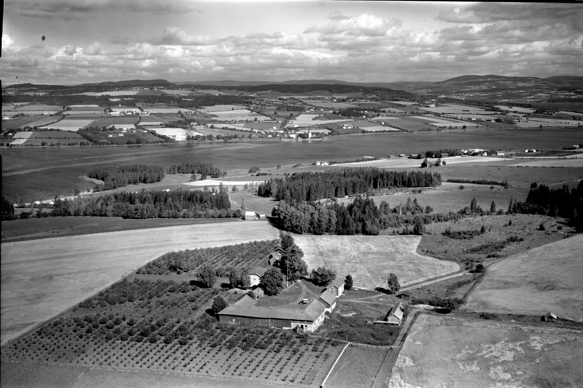Anno Domkirkeodden, Flyfoto, gardsbruk, Svennerud, Helgøya, hage.