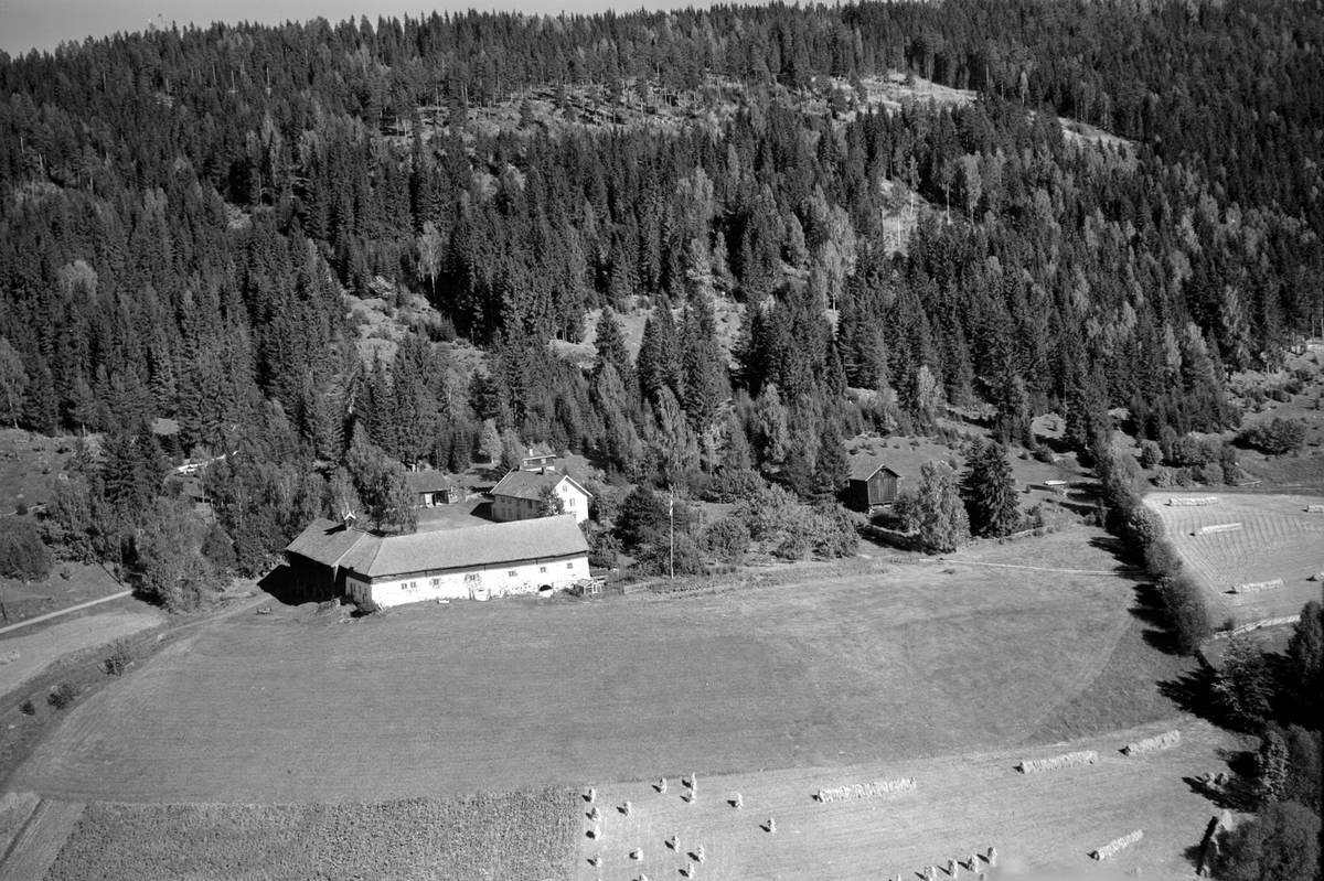 Anno Domkirkeodden, Flyfoto av Freng nordre, Brøttum, Ringsaker.