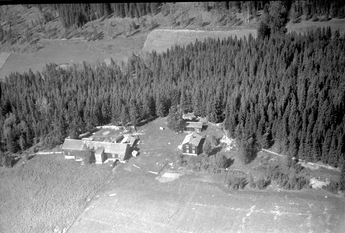 Anno Domkirkeodden, Flyfoto av ukjent gard, Næroset, Ringsaker.