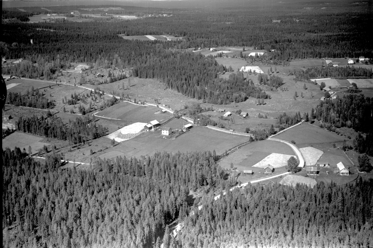 Anno Domkirkeodden, Flyfoto, skogslandskap med gardsbruk, Ringsaker.