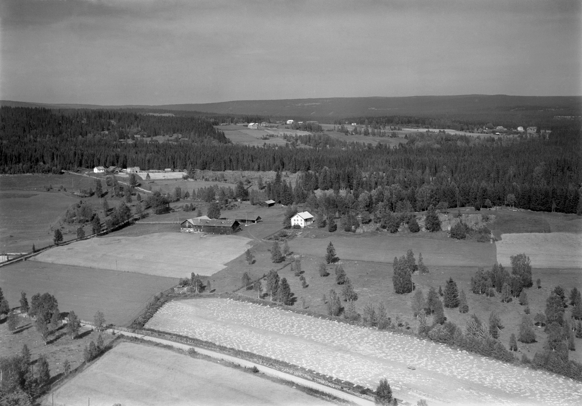 Anno Domkirkeodden, Flyfoto av Busmundrud gard, Åsmarka, Ringsaker.