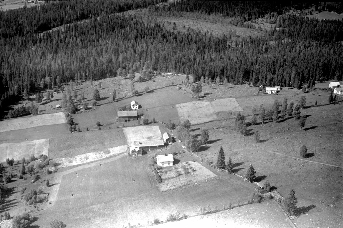 Anno Domkirkeodden, Flyfoto av Aastuen gard, Åsmarka, Ringsaker.