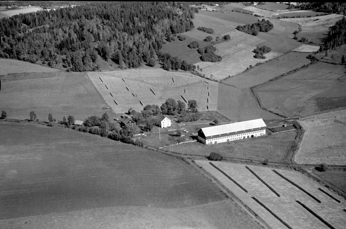 Anno Domkirkeodden, Flyfoto av Mælum gard, Ringsaker.