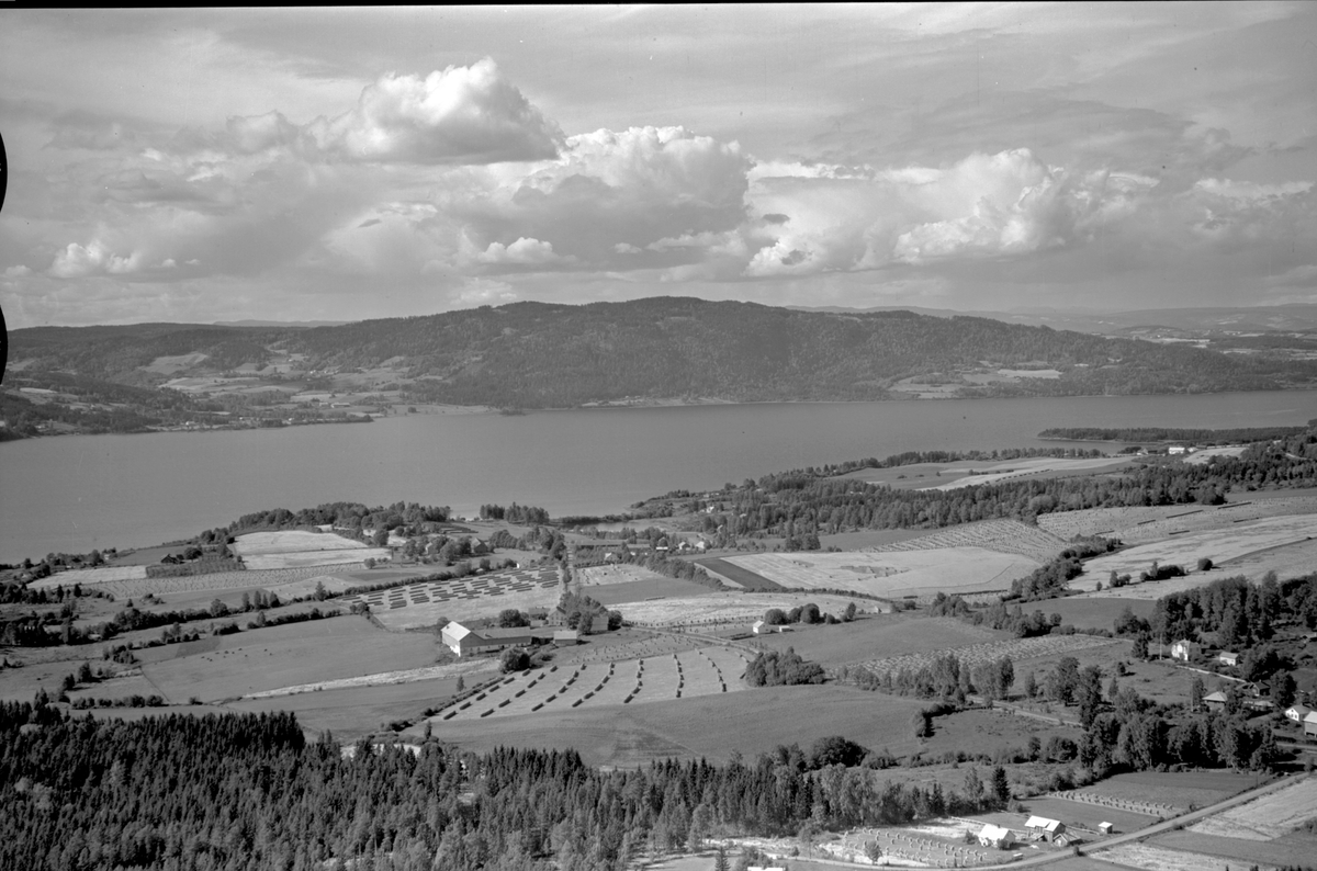 Anno Domkirkeodden, Flyfoto, landskap i Furnes mot Mjøsa. Bangsberget.