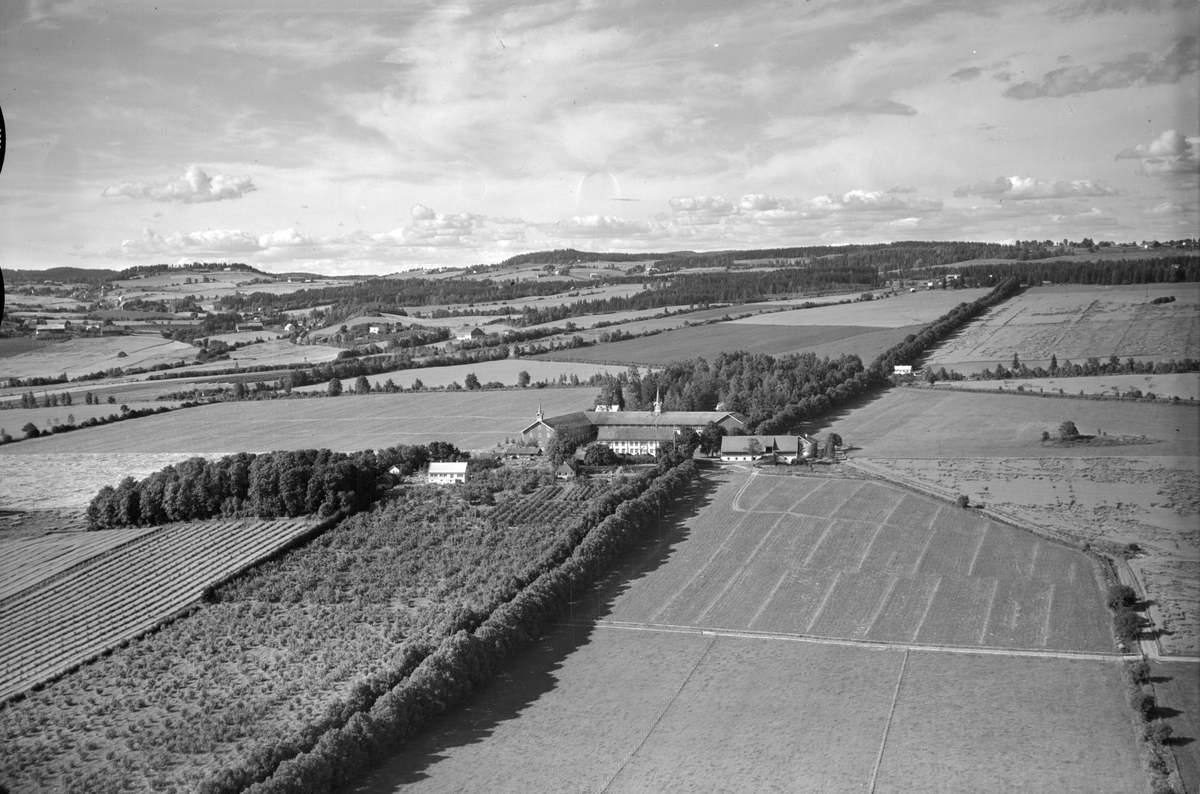 Anno Domkirkeodden, Flyfoto, gardsbruk, hagebruk, Hoel, Nes, Hedmark.