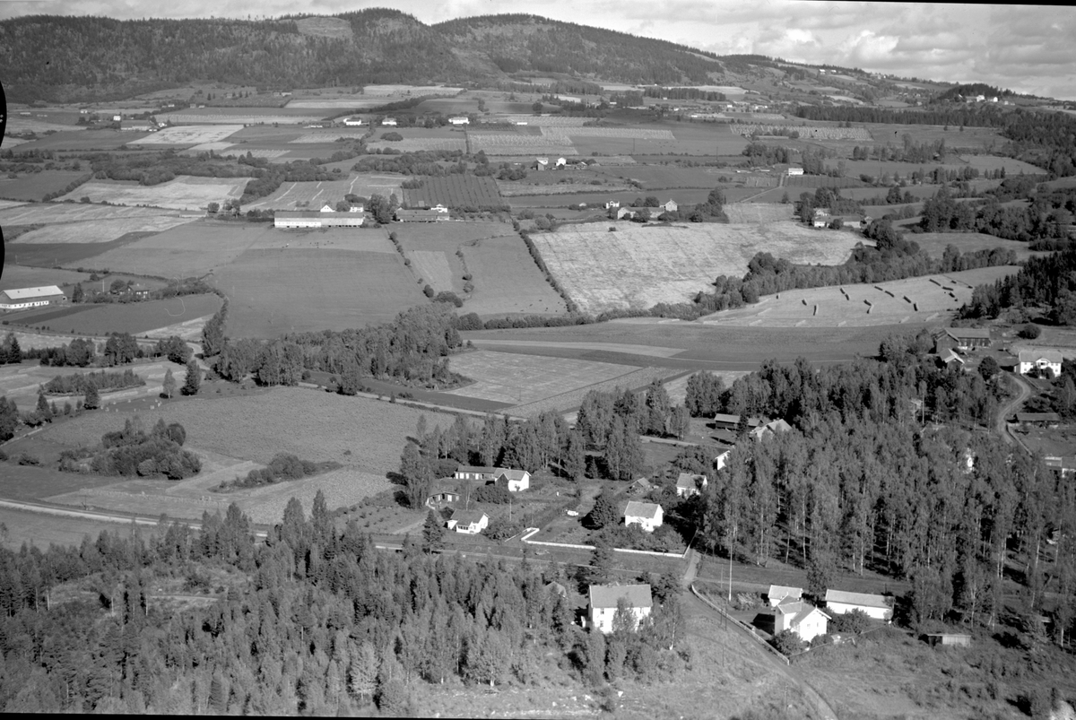Anno Domkirkeodden, Flyfoto av gårder på Ring, Ringsaker.