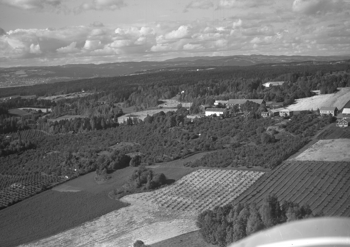 Anno Domkirkeodden, Flyfoto, gardsbruk, hagebruk, Aske nordre, Nes, Hedmark.