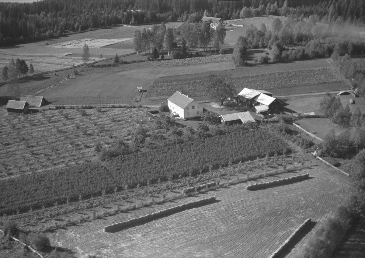Anno Domkirkeodden, Flyfoto av Nylende gard, Smedstua, Ringsaker.