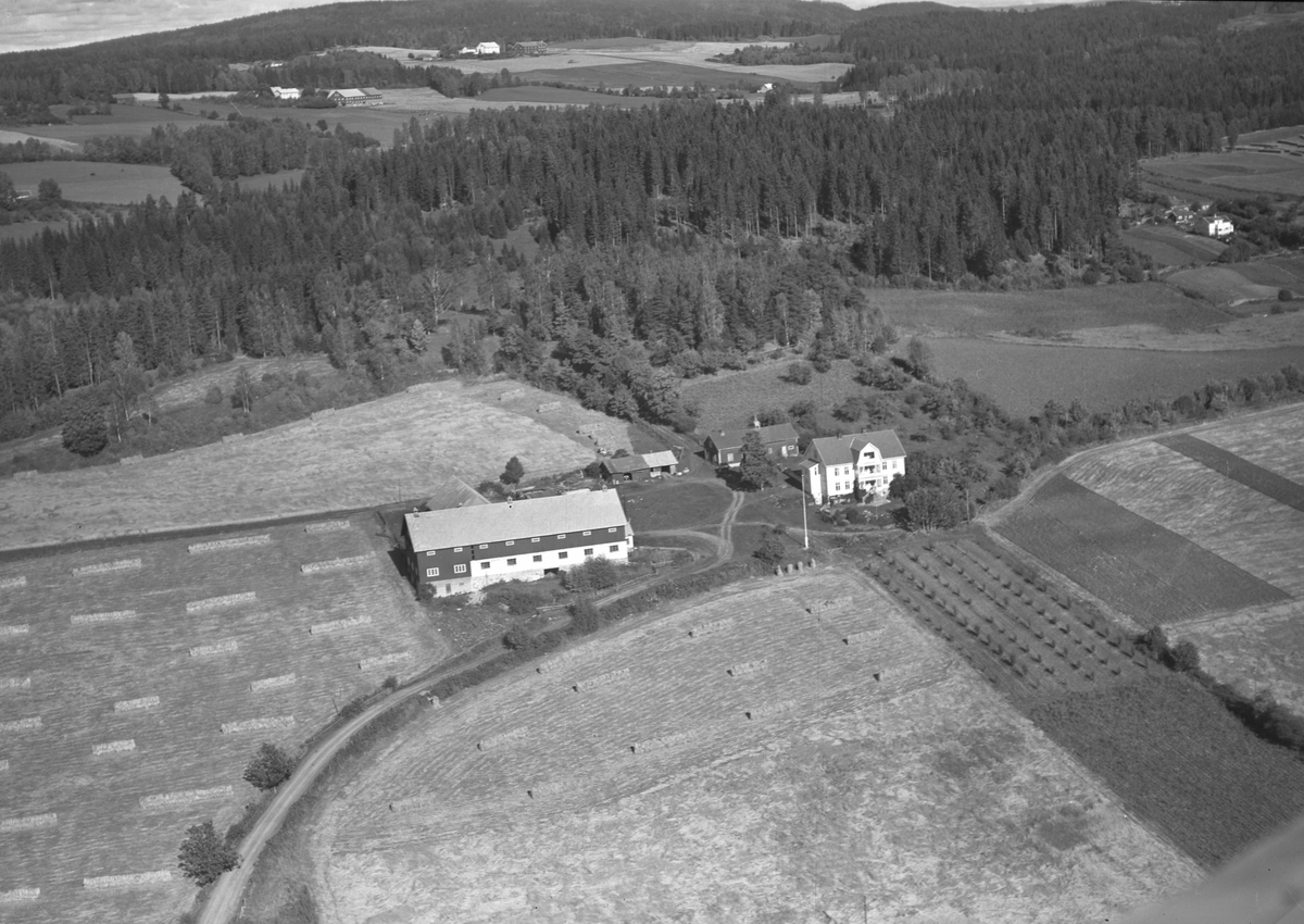 Anno Domkirkeodden, Flyfoto Lie øvre, Nes, Hedmark.