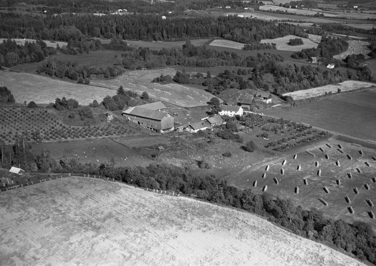 Anno Domkirkeodden, Flyfoto, gardsbruk, Sterud østre, Nes, Hedmark.